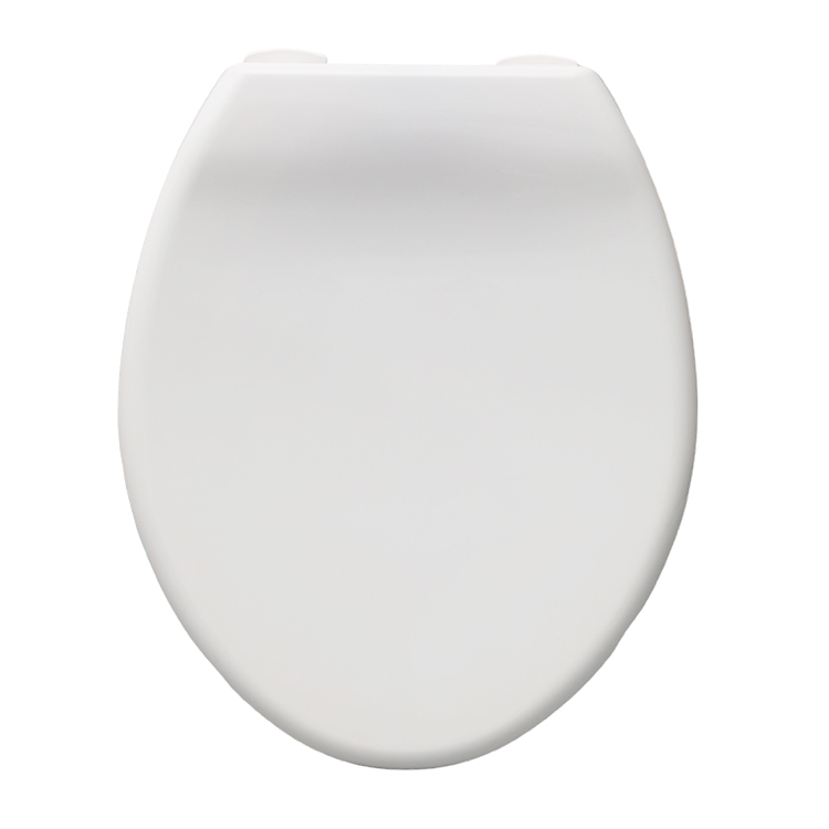 Puting Plastic Toilet Seat